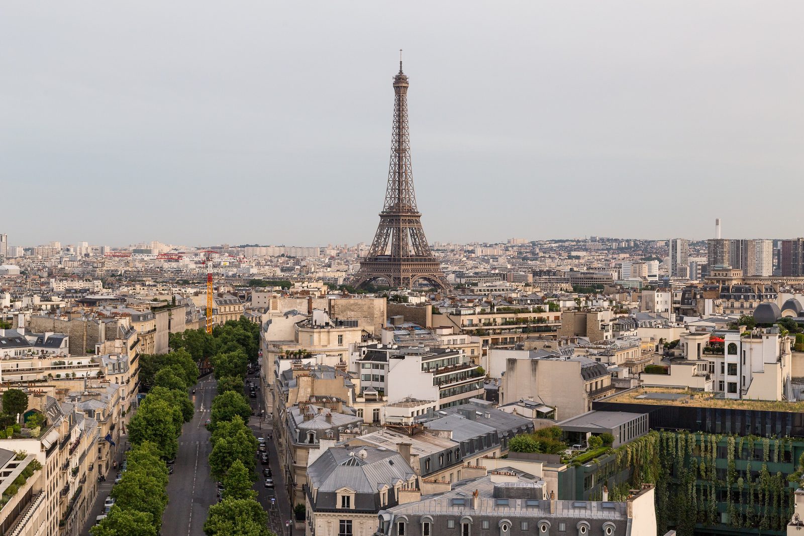 Eiffel Tower over the Paris rooftops, daytime, seen from the Arc de Triomphe